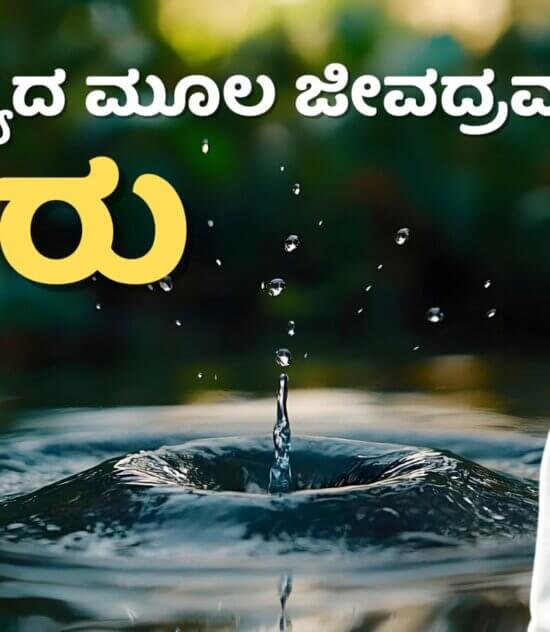 ಆರೋಗ್ಯದ ಮೂಲ ಜೀವದ್ರವ ನೀರು