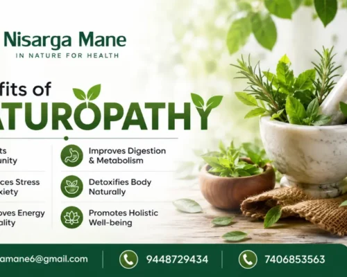 Benefits of Naturopathy | Natural Healing & Wellness Treatment in Sirsi
