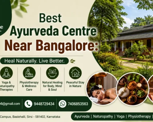 Best Ayurveda Centre Near Bangalore – Natural Wellness at Nisarga Mane